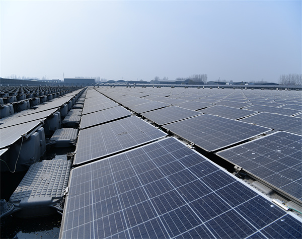 兩部委重磅發文！